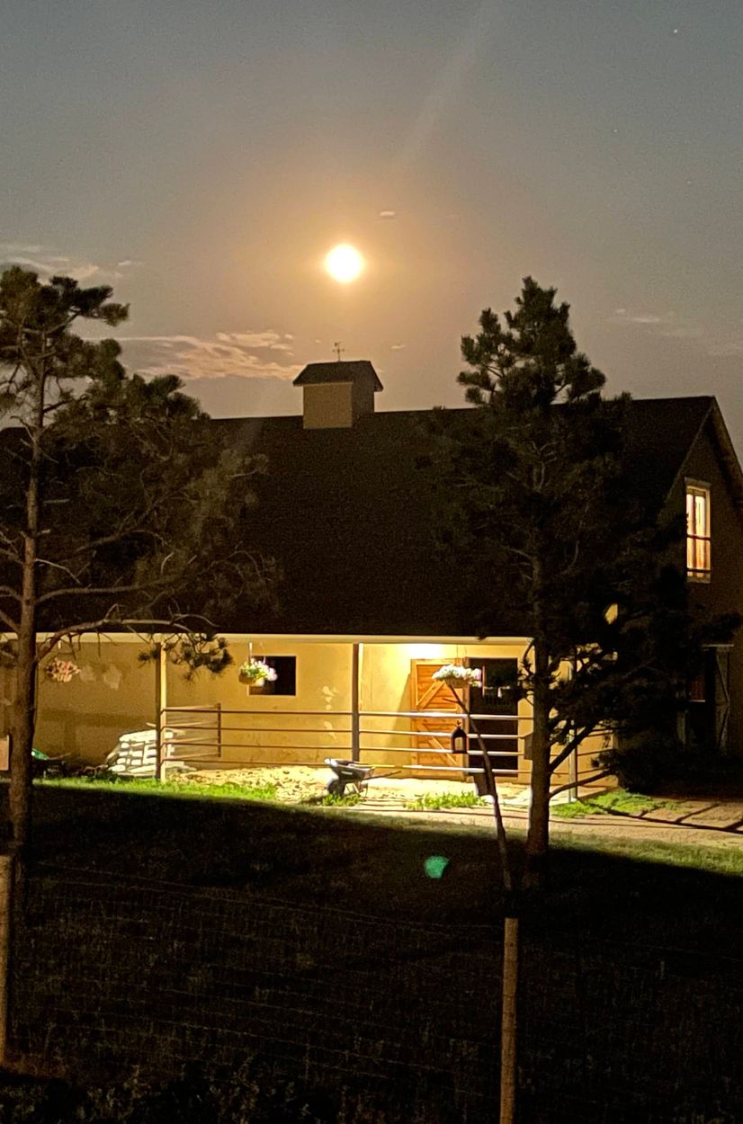 new horse barn build